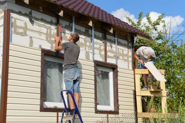 Best Custom Siding Design  in Cheyenne, WY