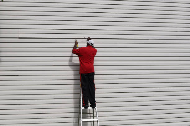 Best Insulated Siding Installation  in Cheyenne, WY