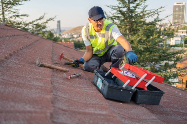 Best Historical Building Siding Restoration  in Cheyenne, WY