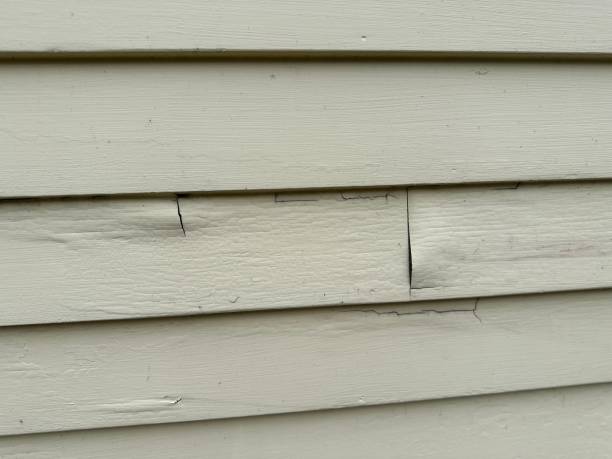 Best Storm Damage Siding Repair  in Cheyenne, WY